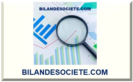 BILAN DE SOCIÉTÉ 2025