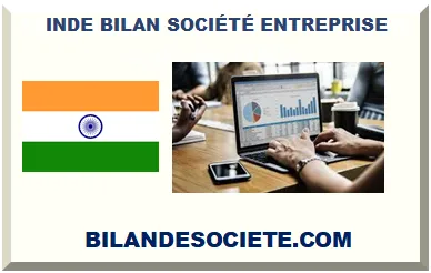 INDE BILAN ANNUEL SOCIÉTÉ