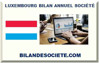 LUXEMBOURG BILAN ANNUEL SOCIÉTÉ