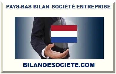 PAYS-BAS BILAN SOCIÉTÉ ENTREPRISE