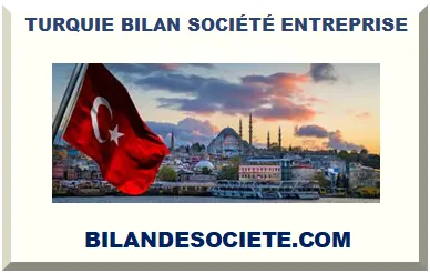 TURQUIE BILAN SOCIÉTÉ ENTREPRISE