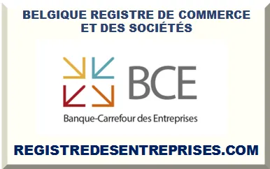 BELGIQUE REGISTRE DE COMMERCE ET DES SOCIÉTÉS 2025