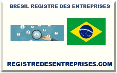 BRÉSIL REGISTRE DES ENTREPRISES 2025
